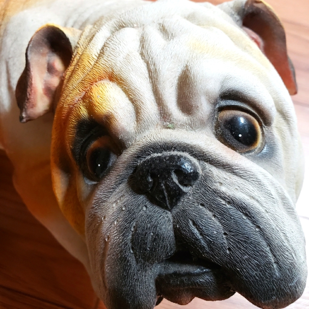 Fawn Bulldog Lifelike Playful Statue